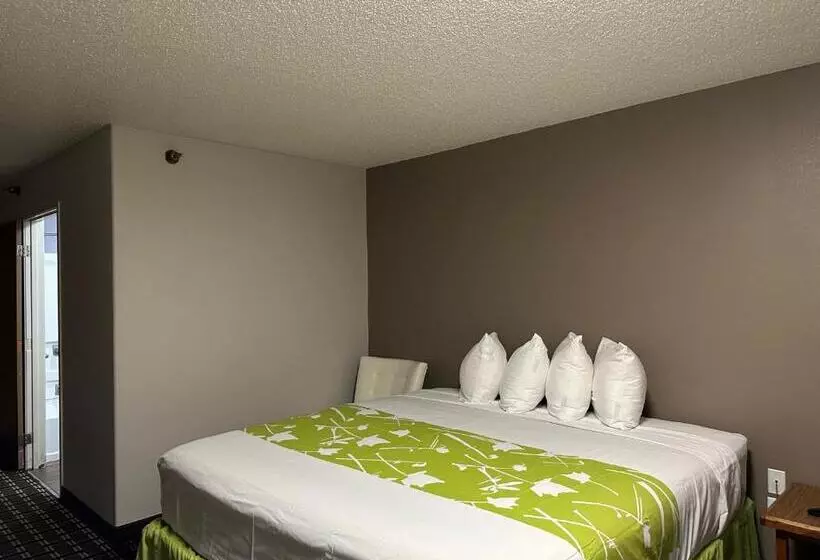 キングサイズベッドのスタンダードルーム, Motel 6 North Sioux City, Sd I 29 North