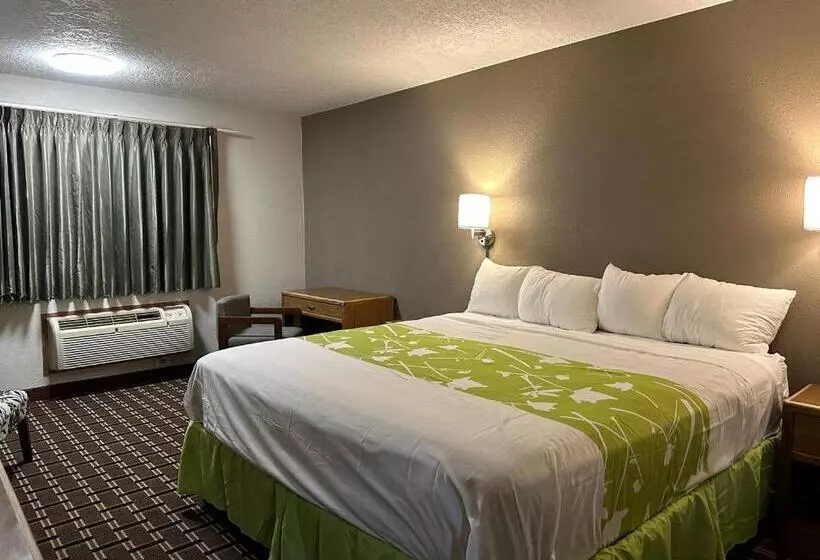 キングサイズベッドのスタンダードルーム, Motel 6 North Sioux City, Sd I 29 North
