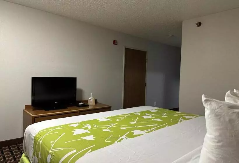 身障者適用キングサイズベッドルーム, Motel 6 North Sioux City, Sd I 29 North