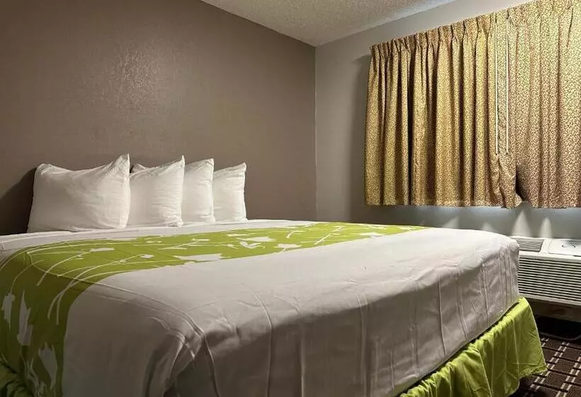 身障者適用キングサイズベッドルーム, Motel 6 North Sioux City, Sd I 29 North