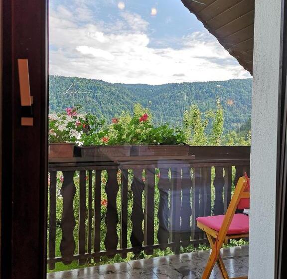 اتاق استاندارد با بالکن, Pension Moychi