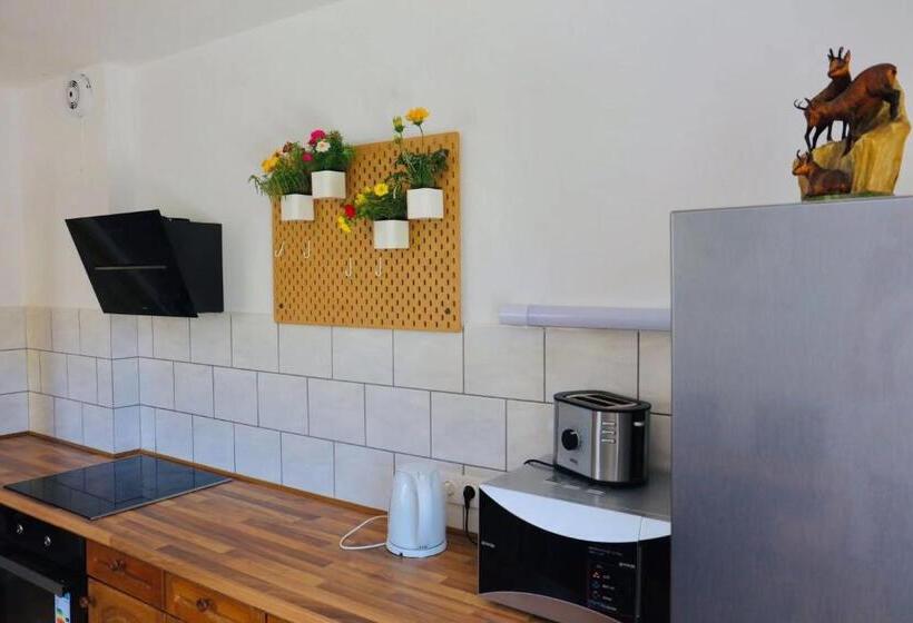 آپارتمان 1 خوابه, Pension Moychi