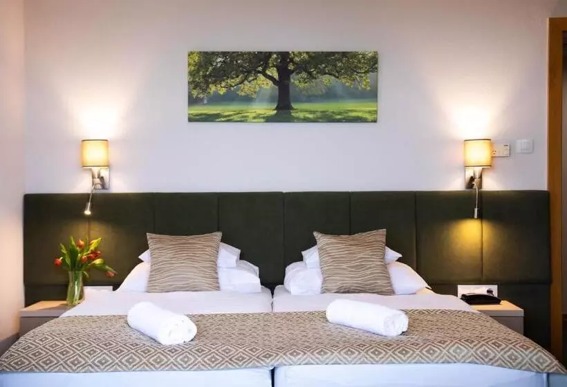 バルコニー付きスタンダードルーム, Szalajka Liget Hotel és Apartmanházak