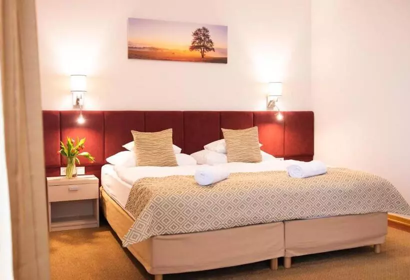 バルコニー付きスタンダードルーム, Szalajka Liget Hotel és Apartmanházak
