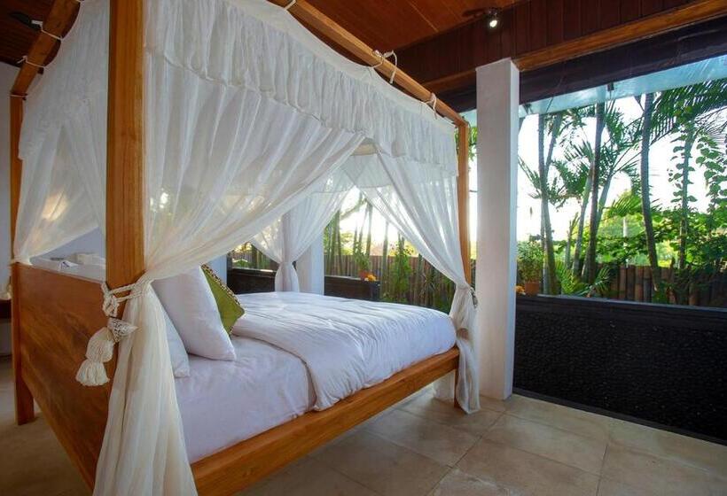 豪华房间, Anginsepoi