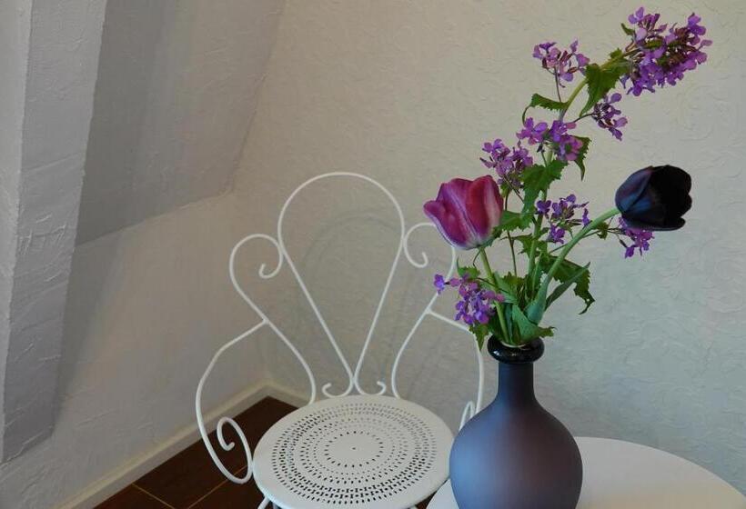 חדר סטנדרט, B&b Welgelegen