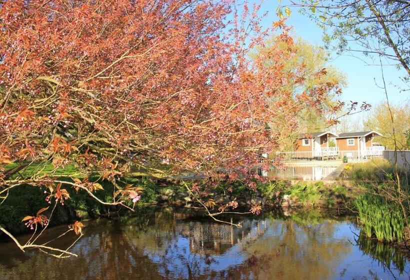 חדר סטנדרט, B&b Welgelegen