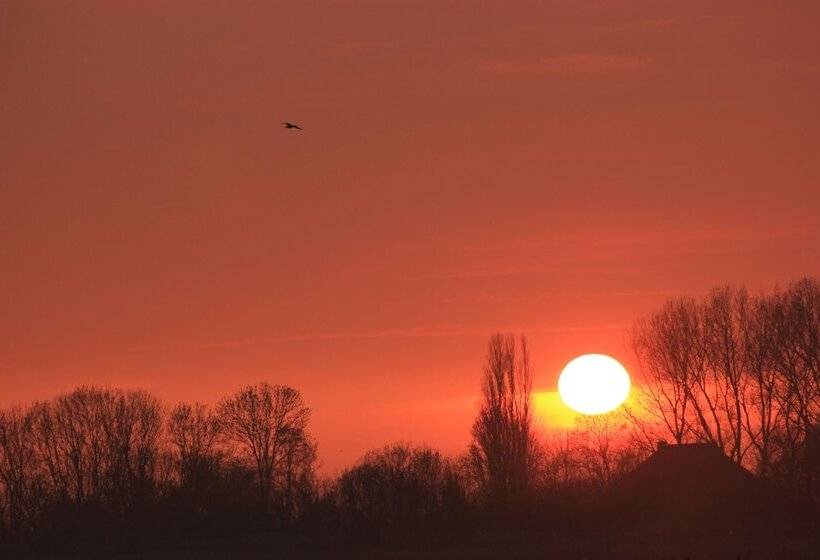 חדר קומפורט, B&b Welgelegen