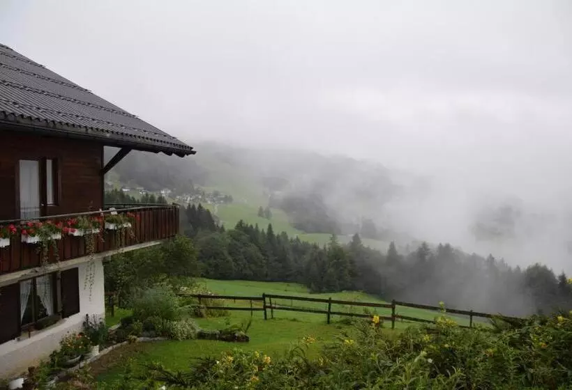 スタンダードルーム, Gasthof Hotel Ifenblick