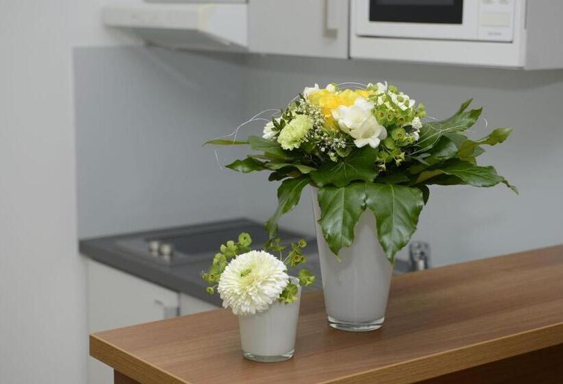 شقة غرفة واحدة, Fairmotel Dornbirn