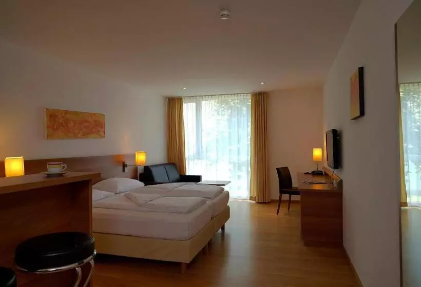 １ベッドルームアパートメント, Fairmotel Dornbirn