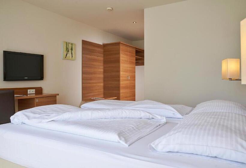 غرفة قياسية مطلة على الجبل, Fairmotel Dornbirn