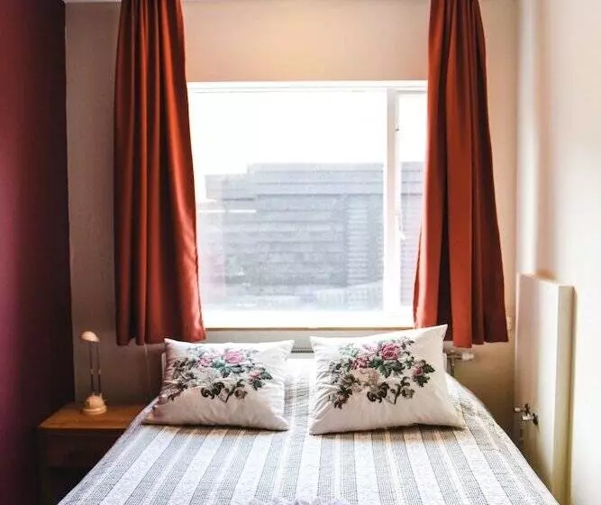 اتاق اکونومی یک تخته, Latrabjarg