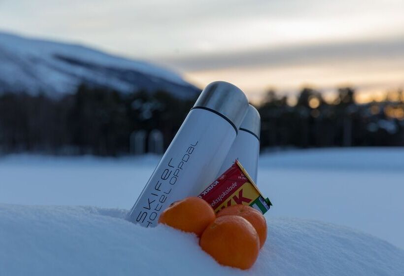 غرفة عائلية, Quality Hotel Skifer