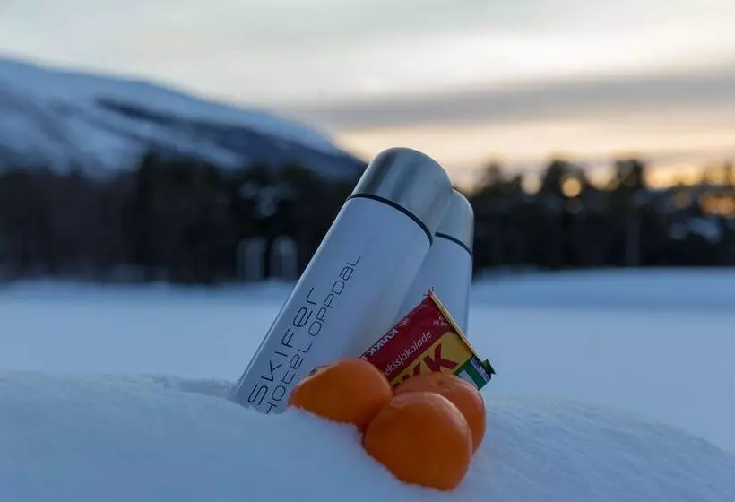 Perhehuone, Quality Hotel Skifer