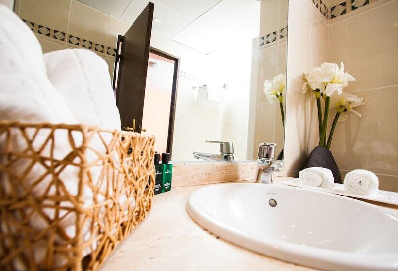 スタンダードシングルルーム, Aeroport Hotel Parc Expo