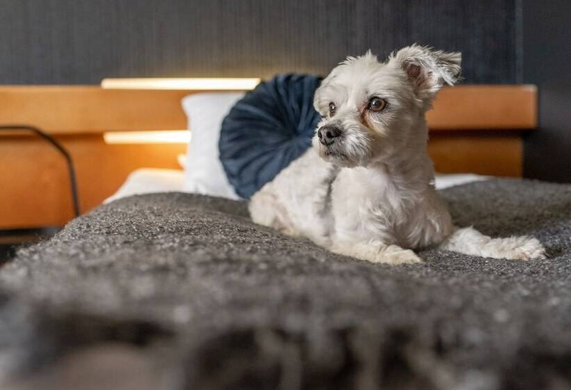 חדר סטנדרט, Li Jämsä