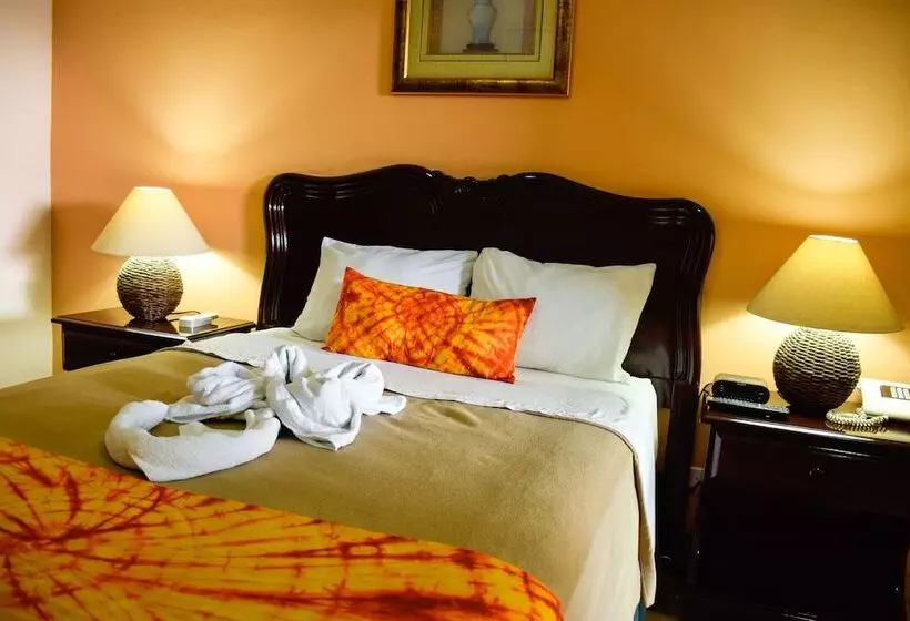 スタンダードシングルルーム, Eco Hotel Mariscal
