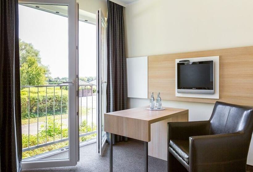 高级大房间, Trend