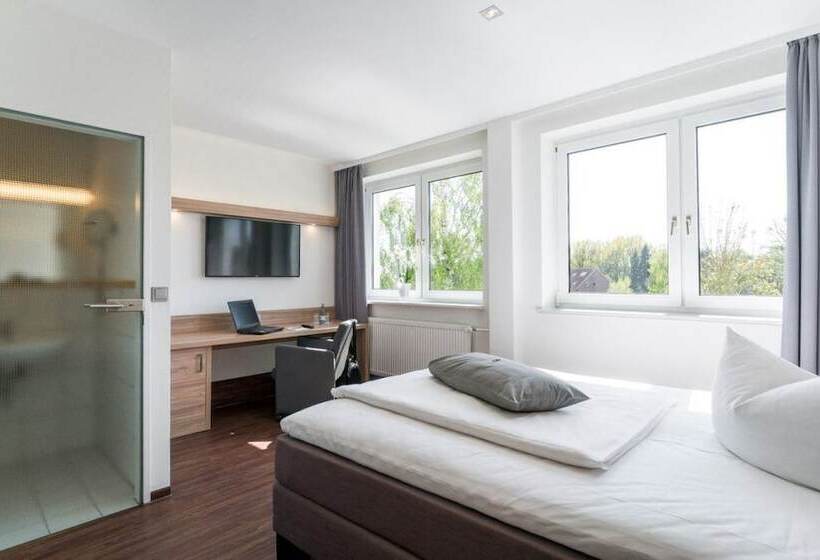 高级大房间, Trend