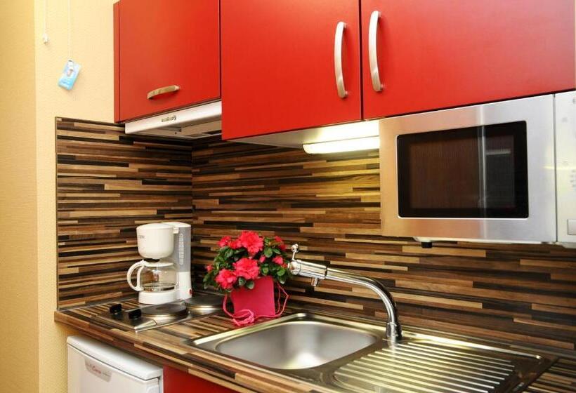 إستوديو قياسى سرير مزدوج, S & Residences  Le Metropole