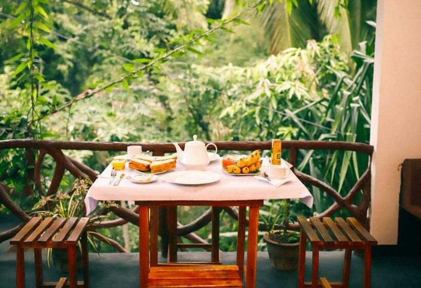 Standard Room Garden View, Aloe Vera Guest House
