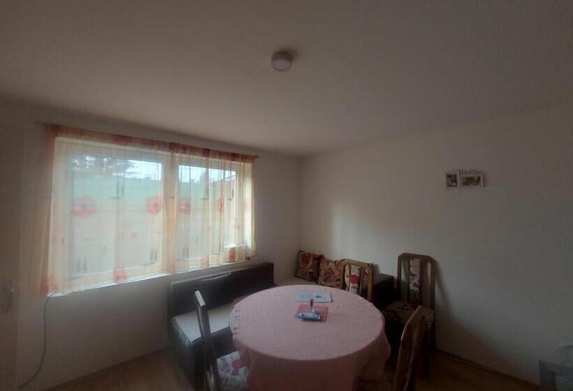 آپارتمان 1 خوابه همکف, Pandora S Place