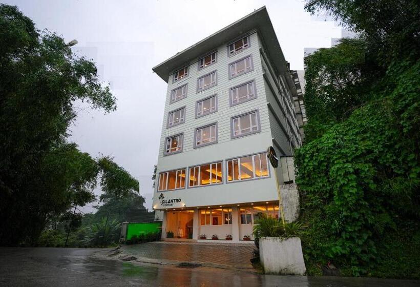 חדר דלוקס, Cilantro Comfort