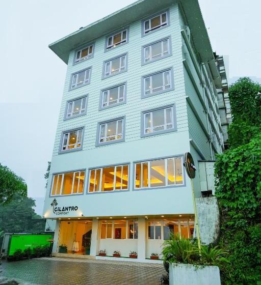 디럭스 룸, Cilantro Comfort