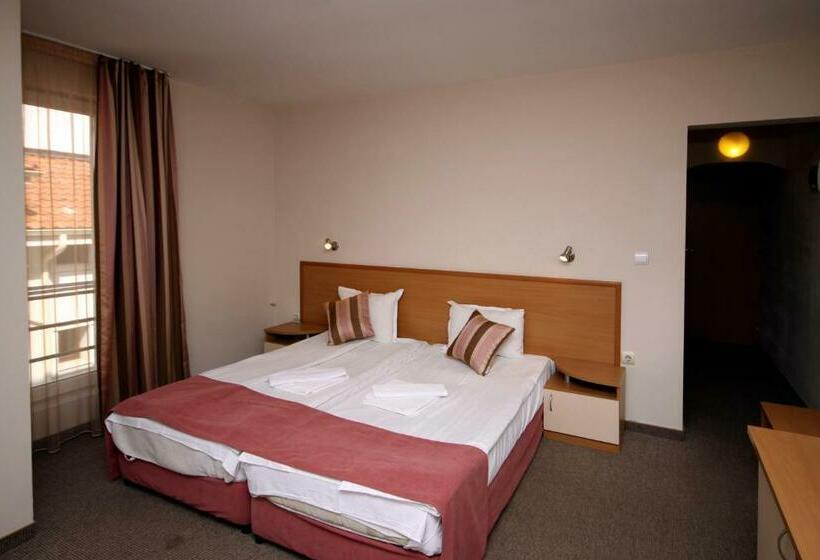 スタンダードルーム, Briz