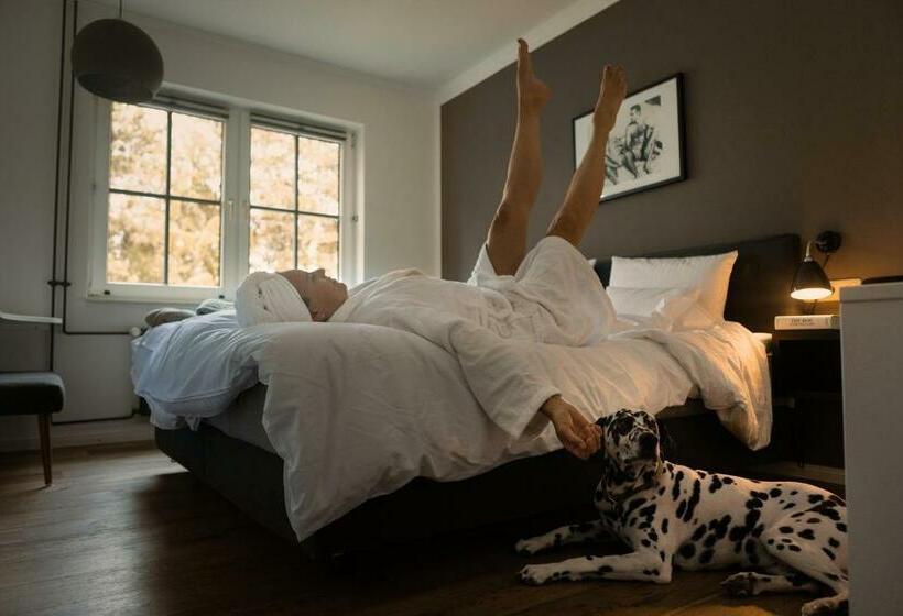 Номер Стандарт, Das Kubatzki