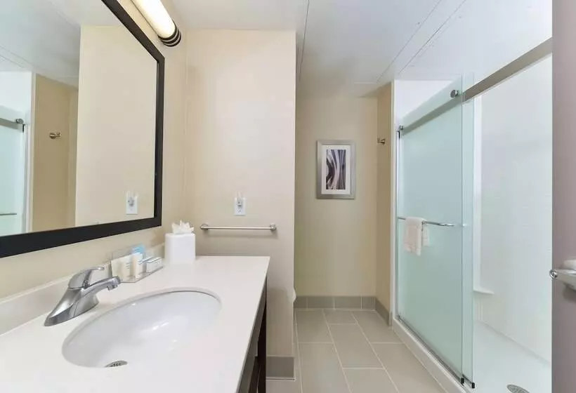ダブルベッドスタンダードルーム, Hampton Inn & Suites Des Moines Downtown