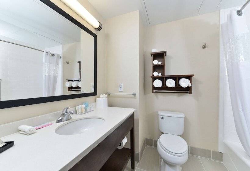 带2个双人床的标准工作室, Hampton Inn & Suites Des Moines Downtown