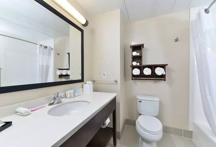 ２ダブルベッドのスタンダードルーム, Hampton Inn & Suites Des Moines Downtown