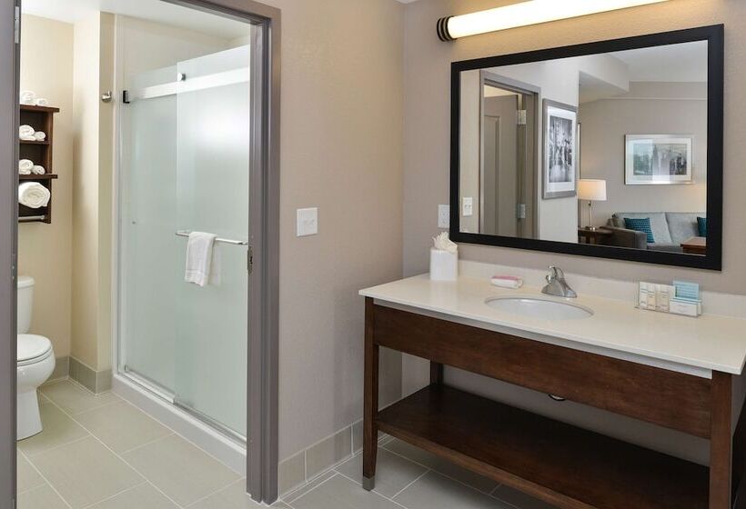 스탠다드 스튜디오 더블 침대, Hampton Inn & Suites Des Moines Downtown