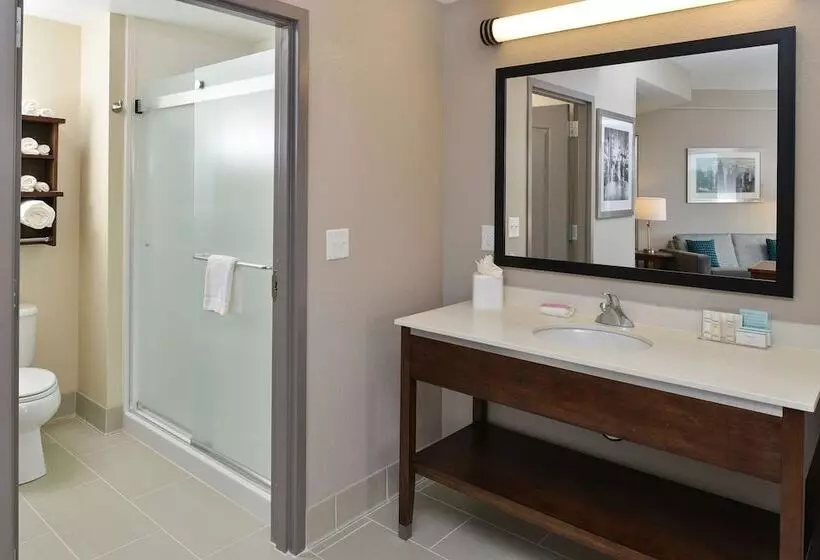 ダブルベッドのスタンダードスタジオ, Hampton Inn & Suites Des Moines Downtown