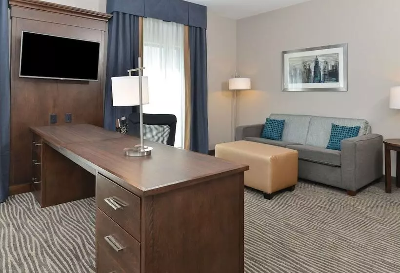 ダブルベッドのスタンダードスタジオ, Hampton Inn & Suites Des Moines Downtown