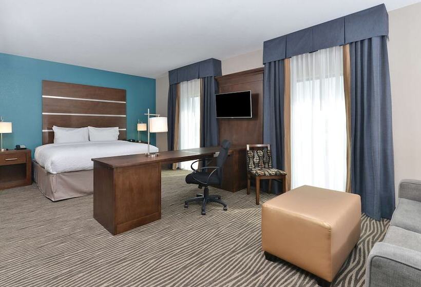 带双人床的标准工作室, Hampton Inn & Suites Des Moines Downtown