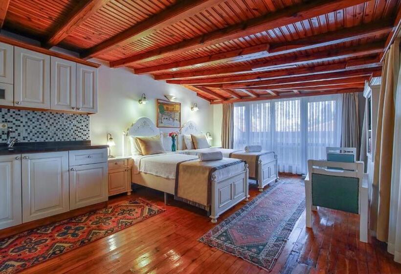 Suite Executive, La Paloma