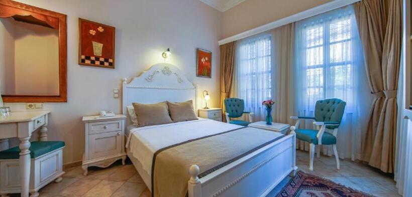 Camera Standard, La Paloma