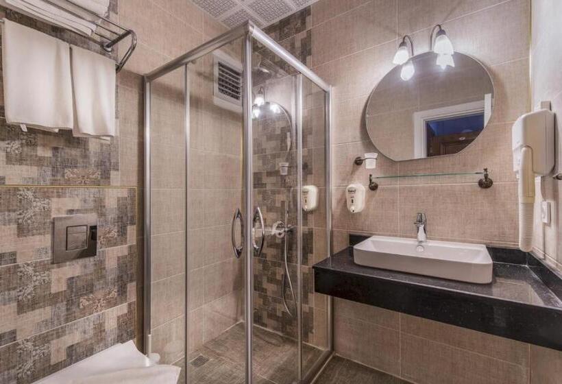 Camera Standard, La Paloma