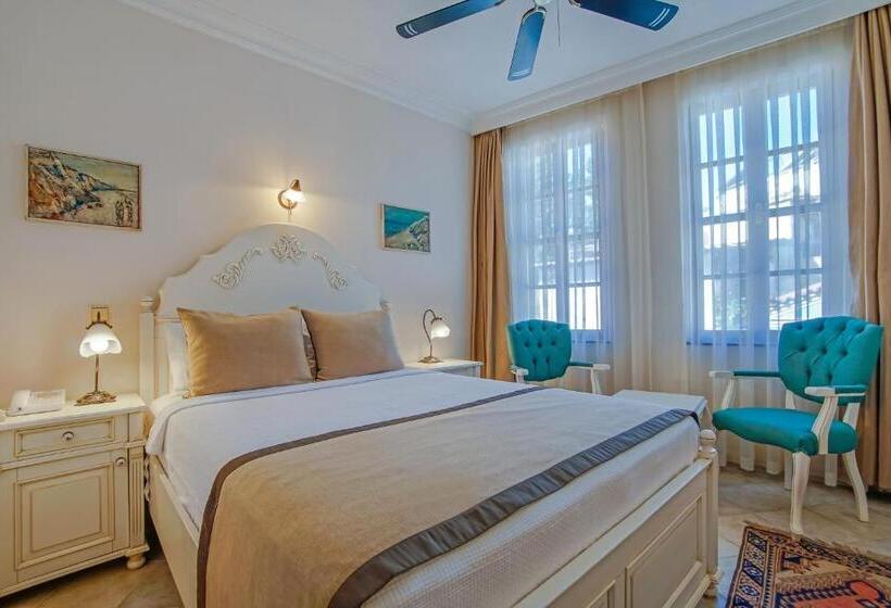 Camera Standard, La Paloma