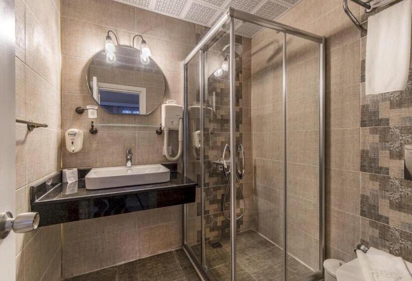 Camera Standard, La Paloma