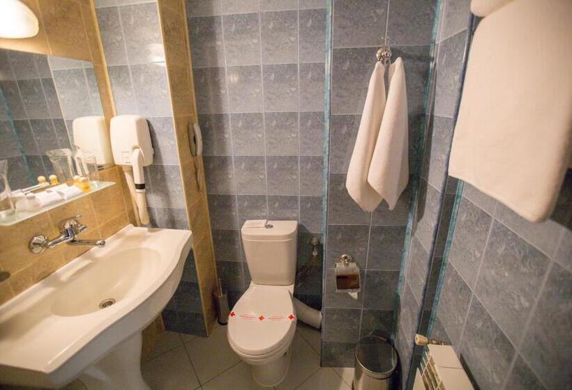 غرفة قياسية, Terra Europe Brontes