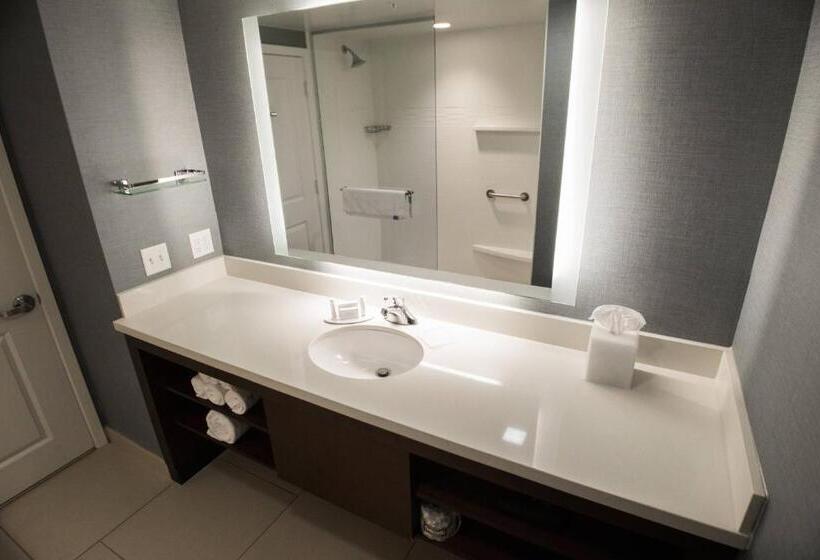 Suíte Cama King, Residence Inn By Marriott Omaha West