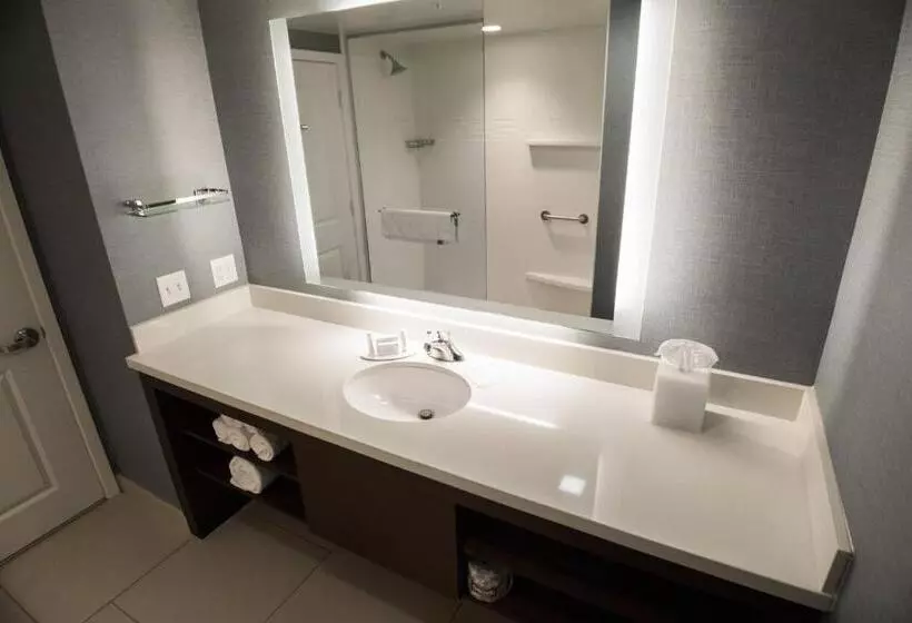 キングサイズベッドのスイートルーム, Residence Inn By Marriott Omaha West