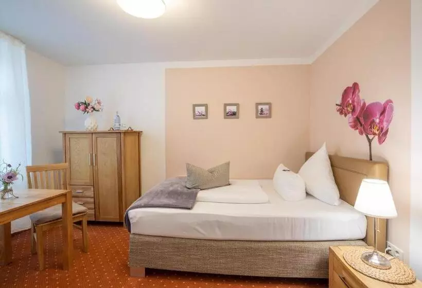 Standard Yhden Hengen Huone, Seehotel Lindenhof