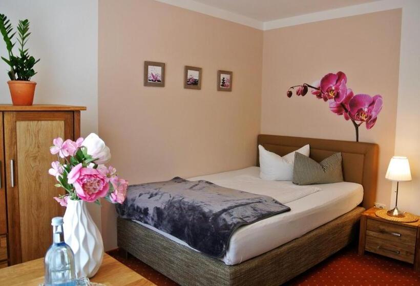 غرفة قياسية فردية, Seehotel Lindenhof