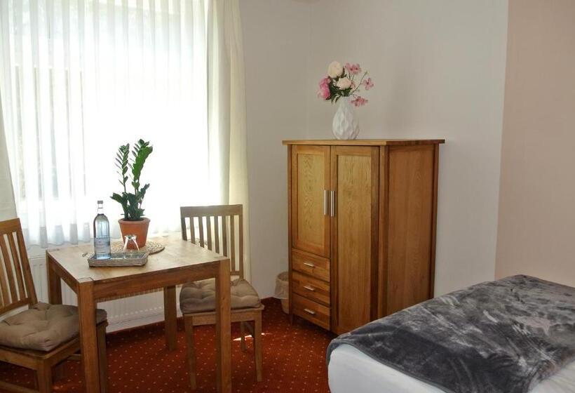 غرفة قياسية فردية, Seehotel Lindenhof