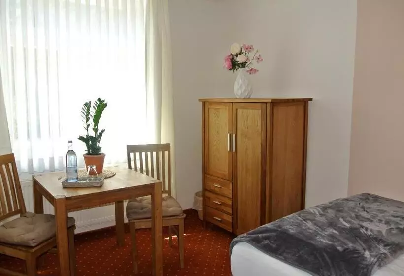 Standard Yhden Hengen Huone, Seehotel Lindenhof